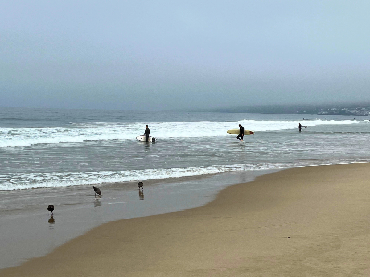 Zuma beach surfers.