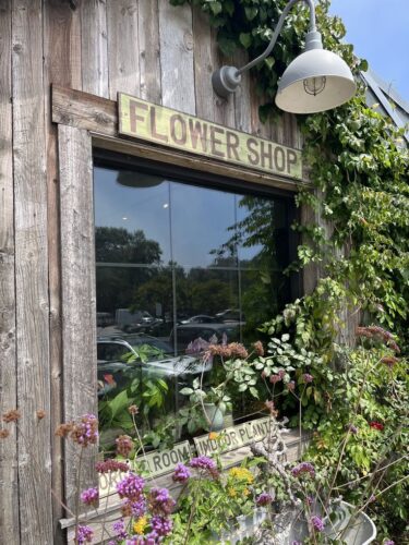 Read more about the article Living in Trancas Malibu: A Local’s Guide to Dining and Activities