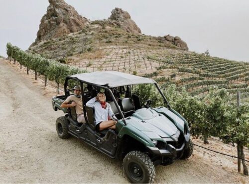 Read more about the article Local’s Guide to Malibu: Hidden Gems Beyond the Beaches