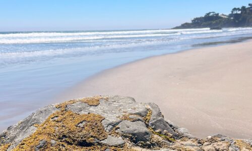 Read more about the article Exploring Malibu’s Coastal Luxury: The Rise of Earthy Minimalism