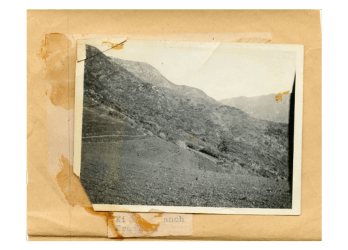 Read more about the article The Fascinating Hidden History of Trancas Canyon